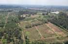 Commercial Land in Tatu City - 8