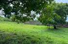 1,012 m² Land at Kikambala Beach - 12