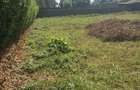 Residential Land in Muthaiga - 2