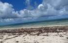 Land in Watamu - 17