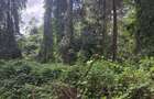 Residential Land in Kitisuru - 8