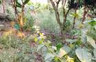 0.0113 ac Residential Land in Ngong - 2