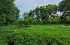 Commercial Property in Nyali Area - 8
