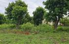 4.5 ac Land at Mtwapa - 2
