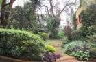 Land at Off Parklands Rd - 6