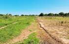Land at Vipingo - 12