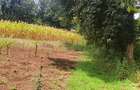 Land at Kibirichia - 12