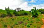 16,187.44 m² Land at Kilifi Bofa Beach Road - 10