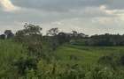 Land at Near Kentmare - 3