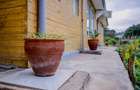 4 Bed House in Spring Valley - 15