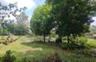 Land in Karen - 1