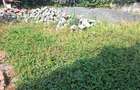21,780 ft² Commercial Land at Gigiri Close To Village Market - 7