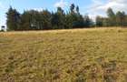Land in Nyeri - 2