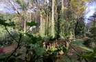 1 ac Land in Lavington - 3