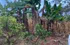 15 ac Land at Thika Road - 6