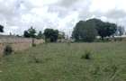 5 ac Land at Mavueni - 4