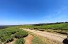 250 ac Land at Kiambu - 4