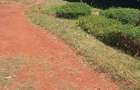0.5 ac Residential Land at Kirawa Rd - 1
