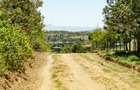 Land at Moi South Lake Road - 10