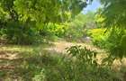 Residential Land in Nyali Area - 5