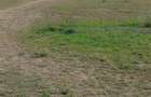 4.8 ac Commercial Property with Garden in Athi River - 7