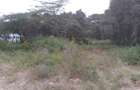 0.25 ac Residential Land at Maasai Lodge Road - 3