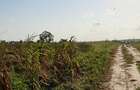 Land in Kilifi - 8