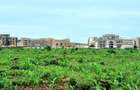 5 ac Land at Utalii -Campus - Vipingo - 10