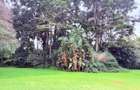 4.1 ac Land in Rosslyn - 6