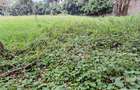0.51 ac Land at General Mathenge Drive - 2