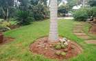 5 Bed House with En Suite in Nyari - 7