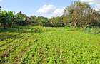 0.2 ha Residential Land at Three Dee Lane - 8