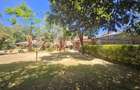 Commercial Property in Lavington - 11