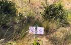 Commercial Land in Tatu City - 7