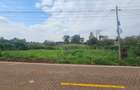 0.365 ac Land at Mushroom Road - 1