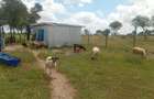 450 m² Land at Sajiloni - 6