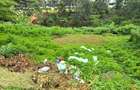 Residential Land at Kitisuru Road - 4