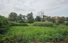 0.365 ac Land at Mushroom Road - 11