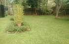 5 Bed House with En Suite in Loresho - 2