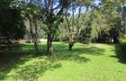 Commercial Property with Service Charge Included at Marula Road - 3