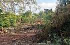 Land at Malindi Mombasa Road - 9