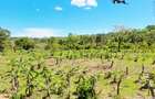 Land at Msambweni - 6