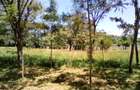 Residential Land at Off Forest Edge Rd - 6