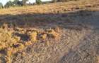 Land in Kitengela - 9