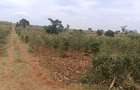 Land in Thika Road - 12