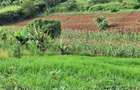 1 ac Residential Land at Tigoni - 14