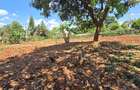 Residential Land at Runda Road - 1