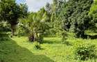 Land at Mtwapa - 7