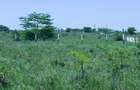 Land in Kitengela - 2