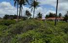 10 ac Land at Diani - 9